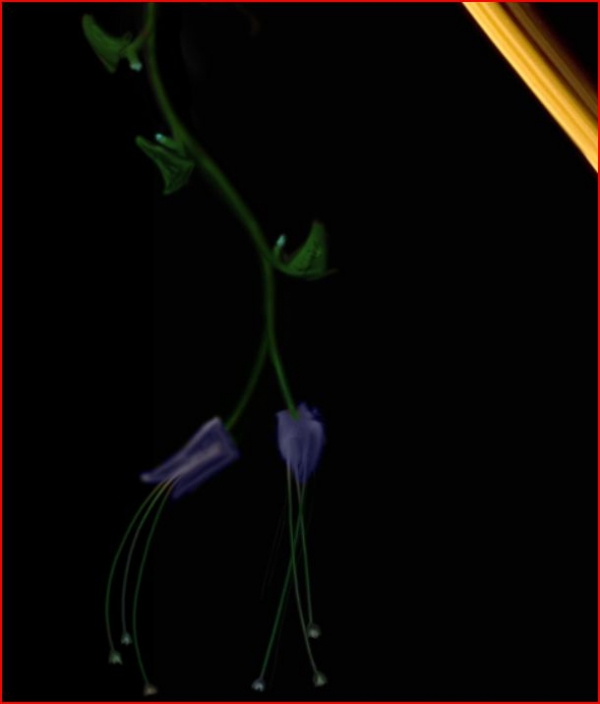 Creation of Flowerfantasy: Step 9