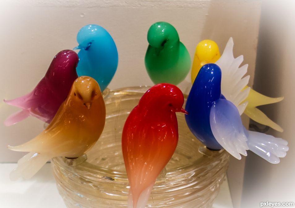 Glass birds