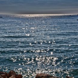 Sunonsea