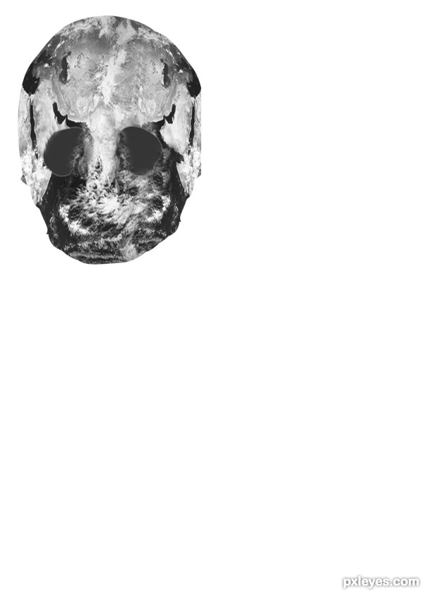 Creation of skelten: Step 1