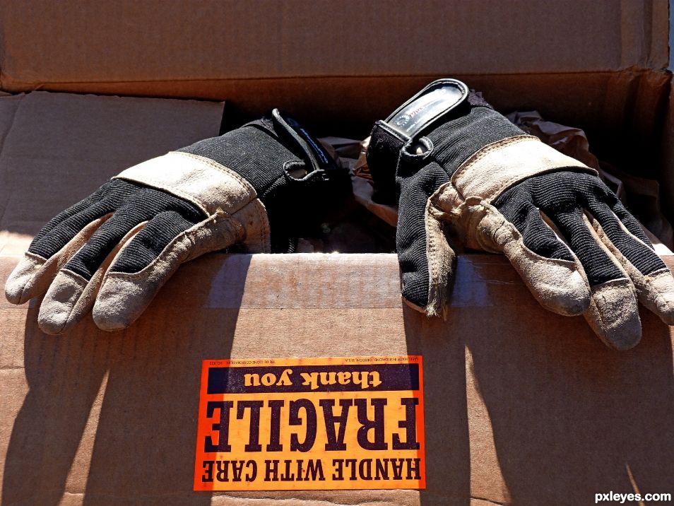 Box n Gloves