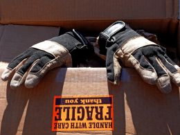Box n Gloves