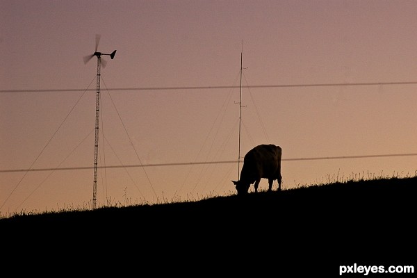 Wind Power