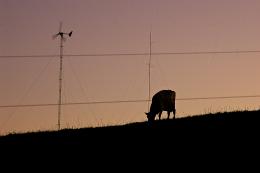 WindPower