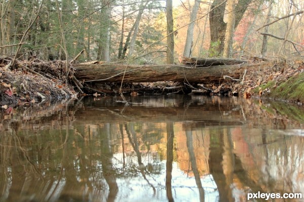 The Creek 