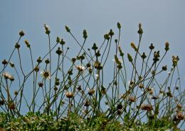 undersky