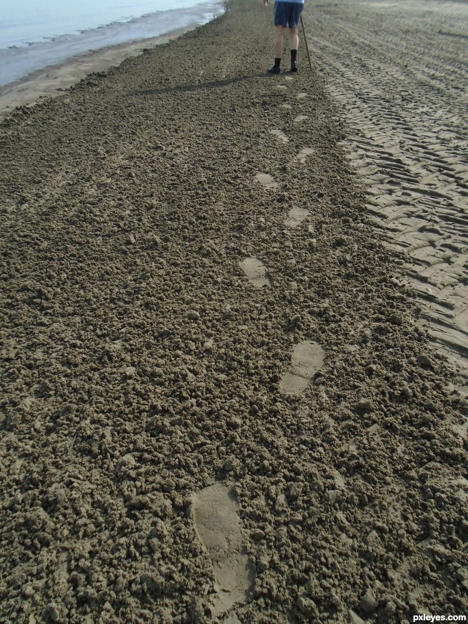 Footprints in the beach sand