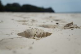 Footprints in the sand