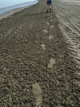 Footprints in the beach sand