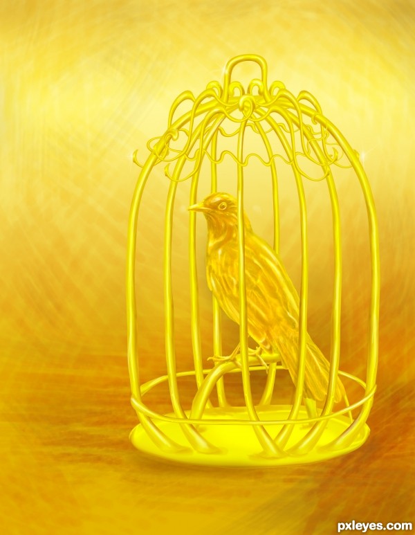 Golden bird in the cage