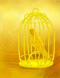 Golden bird in the cage