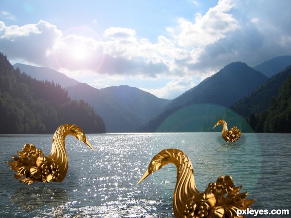Creation of golden swan: Final Result