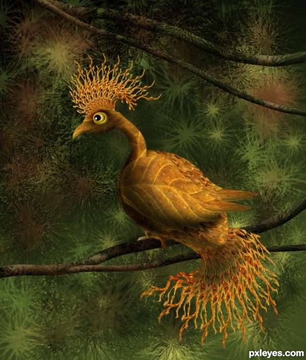 Exotic Golden Bird