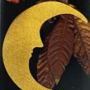 golden moon source image