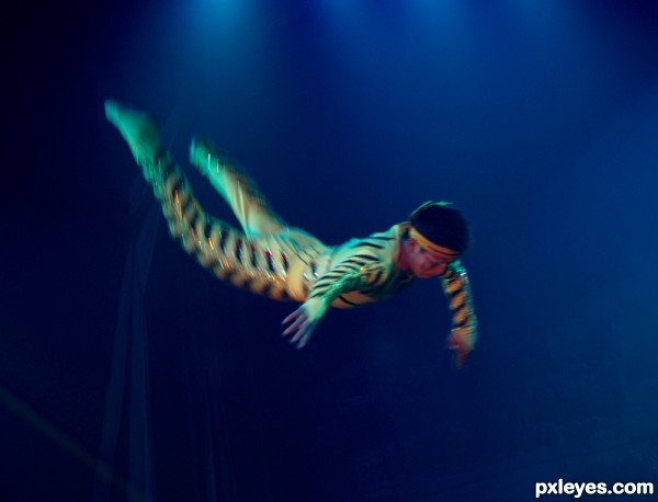 Creation of Circus: Step 1