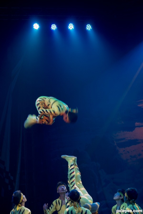 Creation of Circus: Step 2
