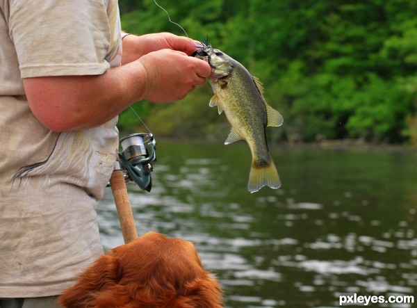 Releasing the Catch