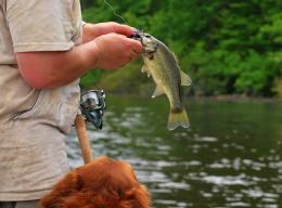 Releasing the Catch