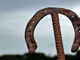 Horseshoe