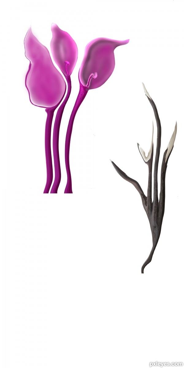 Creation of GIRilla Gardener: Step 5