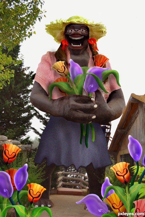 Creation of GIRilla Gardener: Step 10