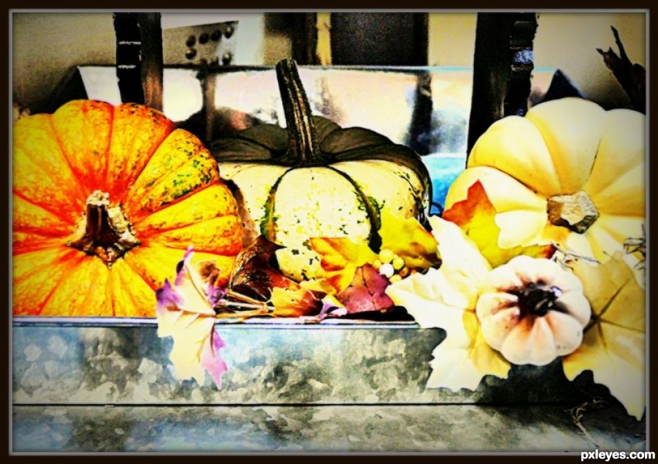 Fancy Pumpkins