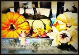 Fancy Pumpkins