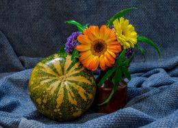 Pumpkin and flowers