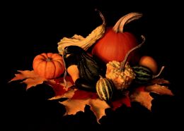 Autumn Harvest Picture