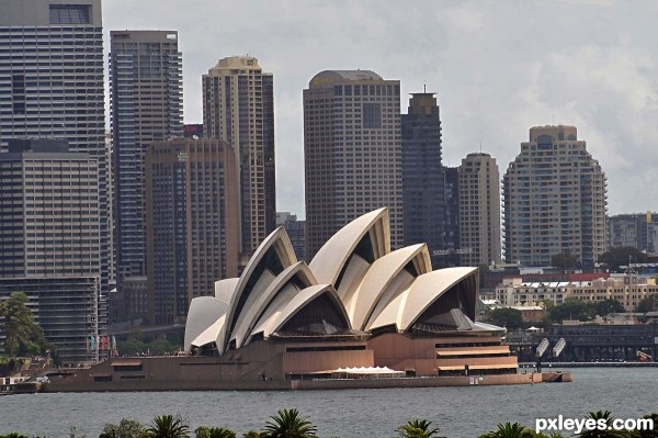 The Sydney Opera House