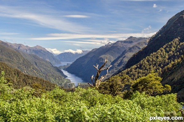 Wilmott Pass