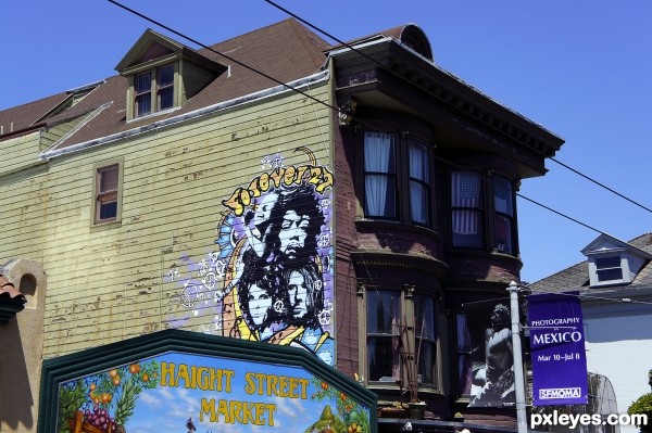 Purple Haight 