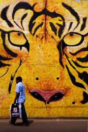 Saving Tigers is in our Hands..