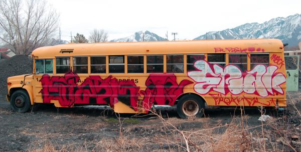 Graffiti Bus