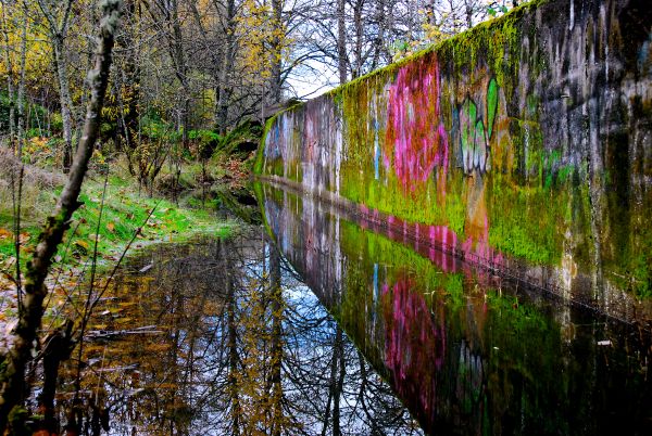 Reflections Of Graffiti