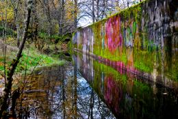 Reflections Of Graffiti Picture