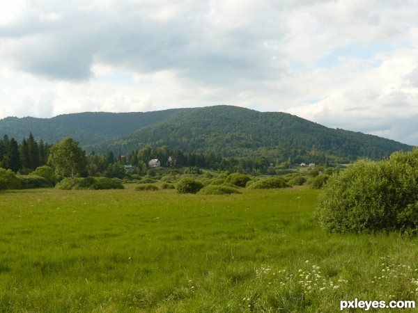 Mountain grass