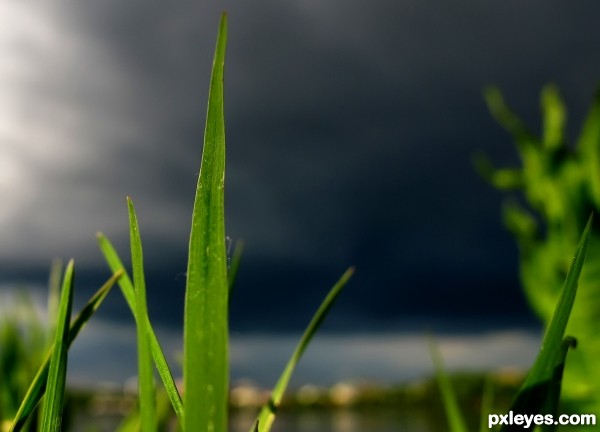 Evening storm