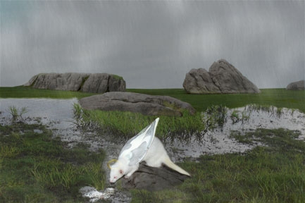 Creation of Angel Ferret on rocks: Step 4