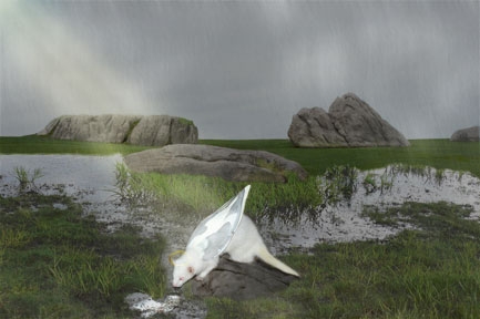 Creation of Angel Ferret on rocks: Step 5