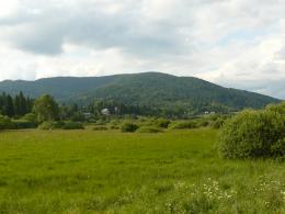 Mountain grass