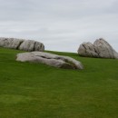 grass source image