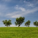 grassy hill source image