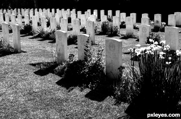 English cementary in Normandy