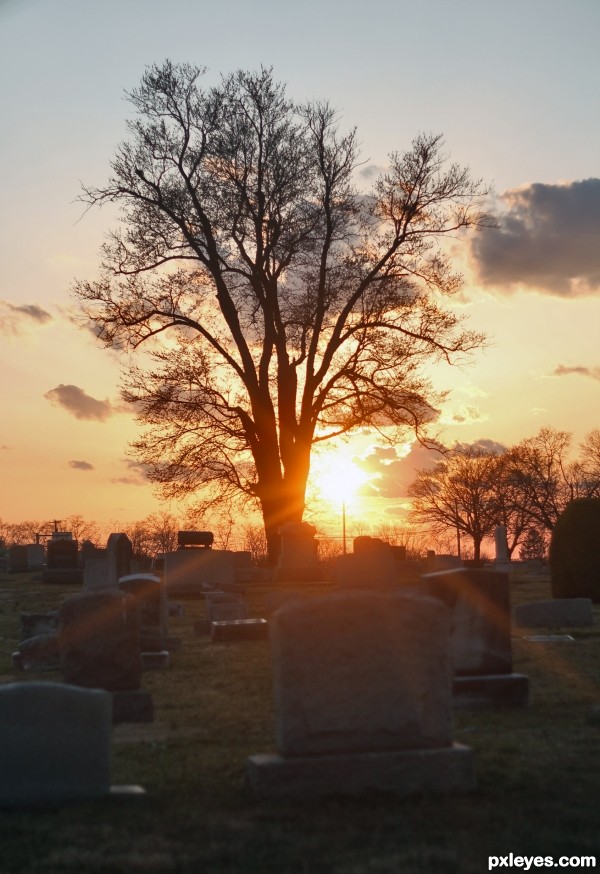 Sunset On the Dead