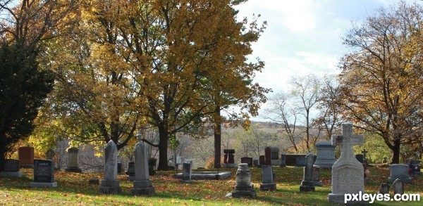 The Crooked Cemetary
