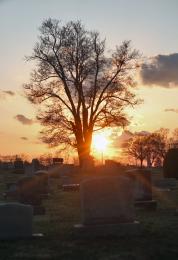 Sunset On the Dead