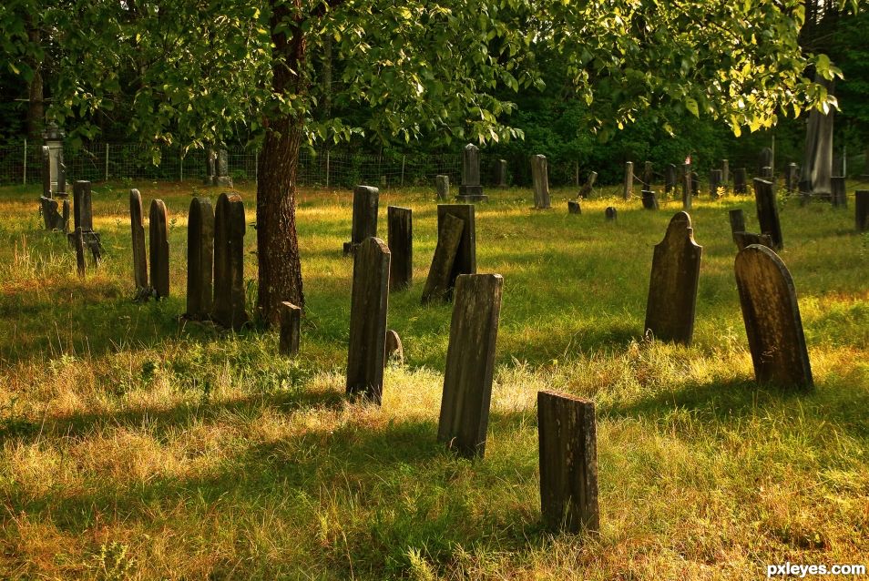 Graves at dusk