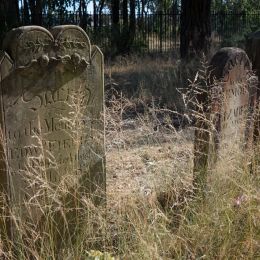 Overgrowngravestones