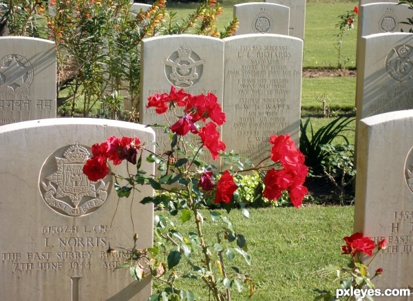 War cemetery